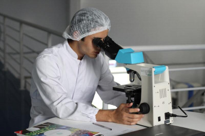 Los distintos caminos de la farmacia veterinaria 